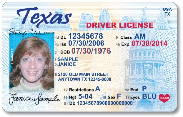 Montana drivers license number format
